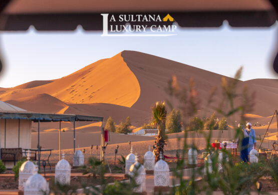 lasultana luxury camp (56)